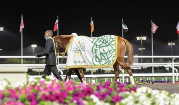 Local horses looking for 3rd straight Saudi Cup win