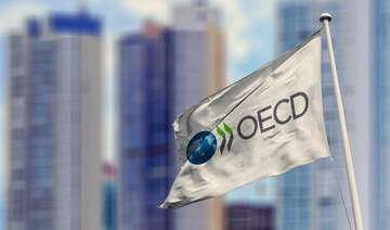 Saudi Arabia uses OECD meeting to discuss strengthening economic cooperation with several European countries