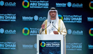 UAE eyes renewables partnerships with India, Jaber says