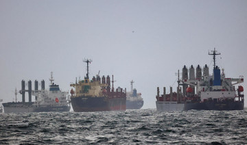 Ukraine to set up $500m insurance fund for cargo ships entering ports
