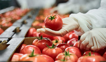 Food production deals worth $290m signed by Saudi Arabia’s industrial city authority in Vision 2030 boost