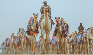 AlUla Camel Cup to celebrate animal intrinsic to cultural, sporting fabric of Arabia