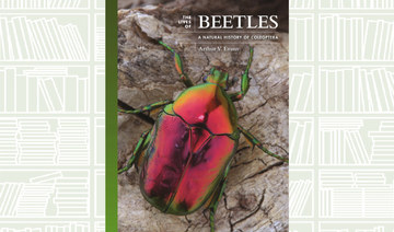 What We Are Reading Today: The Lives of Beetles