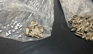 Captagon pills found inside sunflower seeds delivered to inmate at Lebanese prison