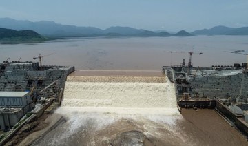 Egypt highlights dangers of work on Grand Ethiopian Renaissance Dam