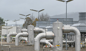 EU tells members to cut gas use further