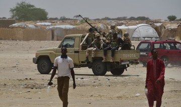 Niger says it killed ‘30 militants’, arrests 960