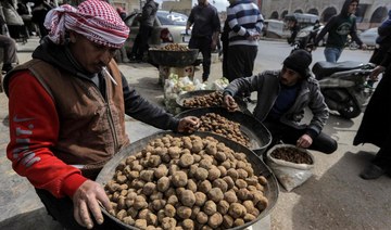 Daesh group kills 15 truffle hunters in Syria: monitor