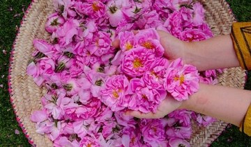 Blooming marvelous: Countdown on to Taif Rose Festival 2023