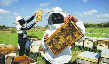 Gaza beekeeper tends hives by restive border