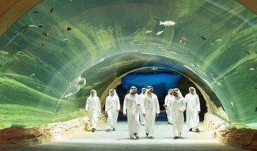 SeaWorld Abu Dhabi opens on Yas Island