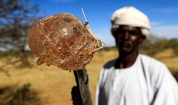 Conflict casts ominous shadow over global supplies of Sudan’s flagship export: gum Arabic