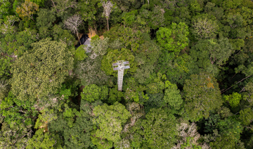 Amazon scientists simulate how warming may impact jungle