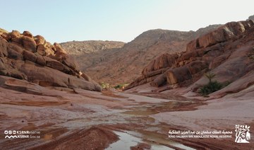 Saudi royal reserve authority becomes member of world conservation body