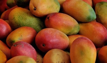 AlUla, Umluj celebrate superfood with mango festivals