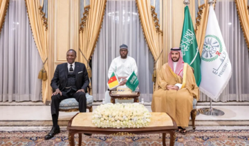 Saudi and Cameroonian defense ministers hold bilateral talks