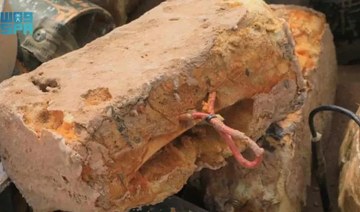Masam project clears 856 Houthi mines in Yemen