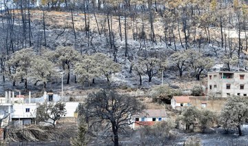 Algeria says it has contained a fire raging in its forests – state TV