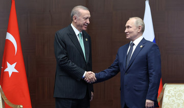 Erdogan urges Putin not escalate Ukraine war tensions