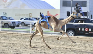Crown Prince Camel Festival draws participants from as far as Europe, North America