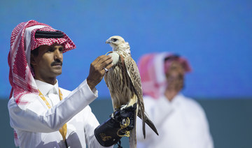 Saudi-bred falcon fetches record $134,000 at Riyadh auction