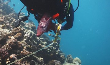 National Wildlife Center launches field survey to study coral reefs in Red Sea