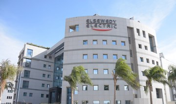 Elsewedy Electric wins cable-supply contract in NEOM   