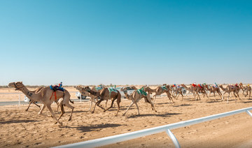 Makkah deputy governor to attend Crown Prince Camel Festival closing ceremony