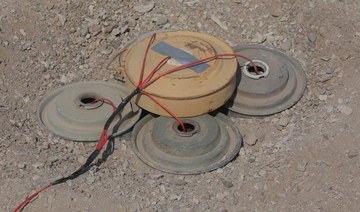Masam project clears 783 Houthi mines in Yemen