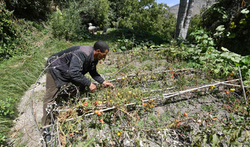 ‘Worst enemy’: Morocco quake brings new hardships for farmers