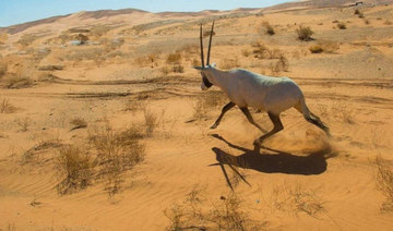 UNESCO adds Saudi Arabia’s Uruq Bani Ma’arid Reserve to World Heritage List  