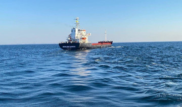 First Ukraine grain ship since Russian blockade reaches Istanbul