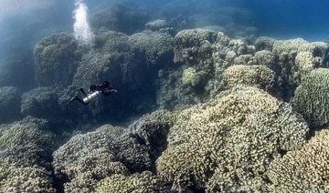 Red Sea ecosystem’s ‘pristine’ preservation requires global attention, says director of new documentary