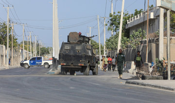 20 pro-government Somali fighters killed battling Al-Shabab