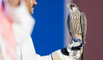 Saudi Falcon Club auction sales soar to $533,000