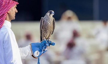 Saudi Falcon Club concludes auction with sales soaring to $1.9m