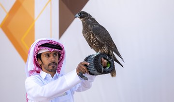 Feathers fly at falcon festival