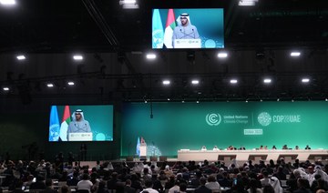 Iraq has reservations over an item in COP28’s final deal – statement