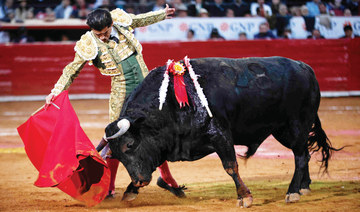 Bullfighting resumes in Mexico City despite protests
