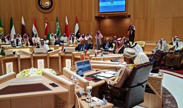 Egypt’s Minister of Foreign Affairs Sameh Shoukry speaks in Riyadh.