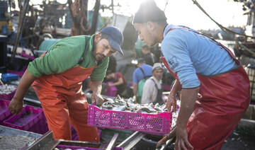 Fishermen transport their catch after docking in the main port in Dakhla city, Western Sahara, Monday, Dec. 21, 2020. (AP)