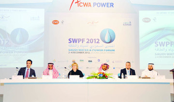 Experts discuss power, water strategy