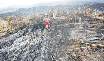 Myanmar’s forests seek life