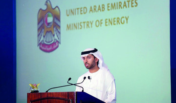 Al-Mazrouei: Nuclear programs needed to solve energy shortage