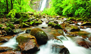 Scenic reserve a haven for study of Brazil’s Atlantic rainforest