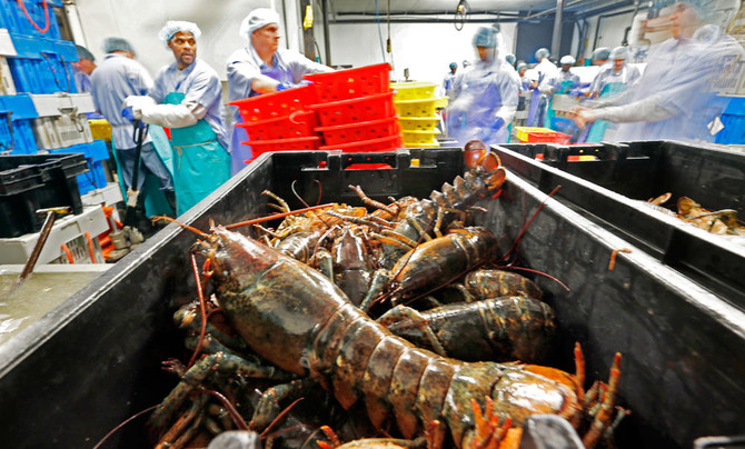 Lobster prices high as catch drops, China imports climb