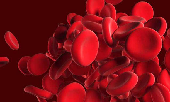 Sickle cell anemia kills 470 at Qatif hospital in one year