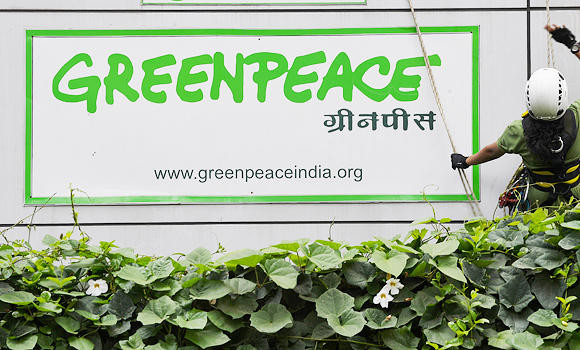 India barred activist from entry: Greenpeace