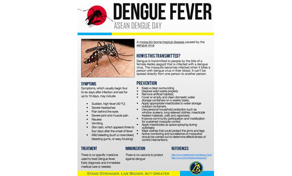 Cases of dengue fever rise in Jeddah again