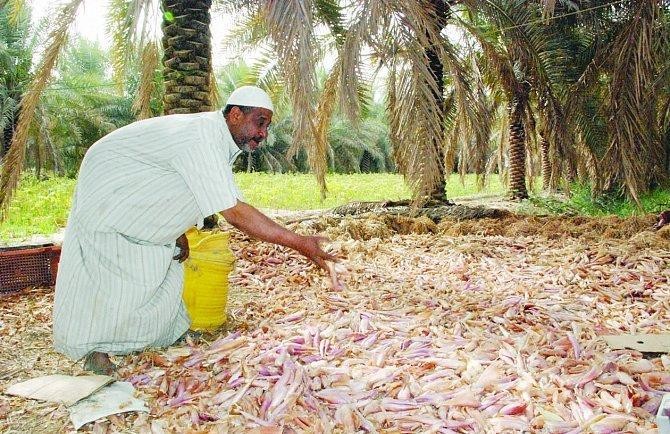 Saudi farmers seek more state support